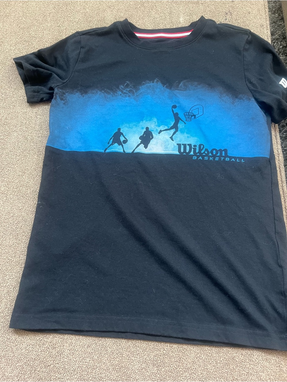 Wilson Basketball Graphic T-Shirt Black Blue Size Large